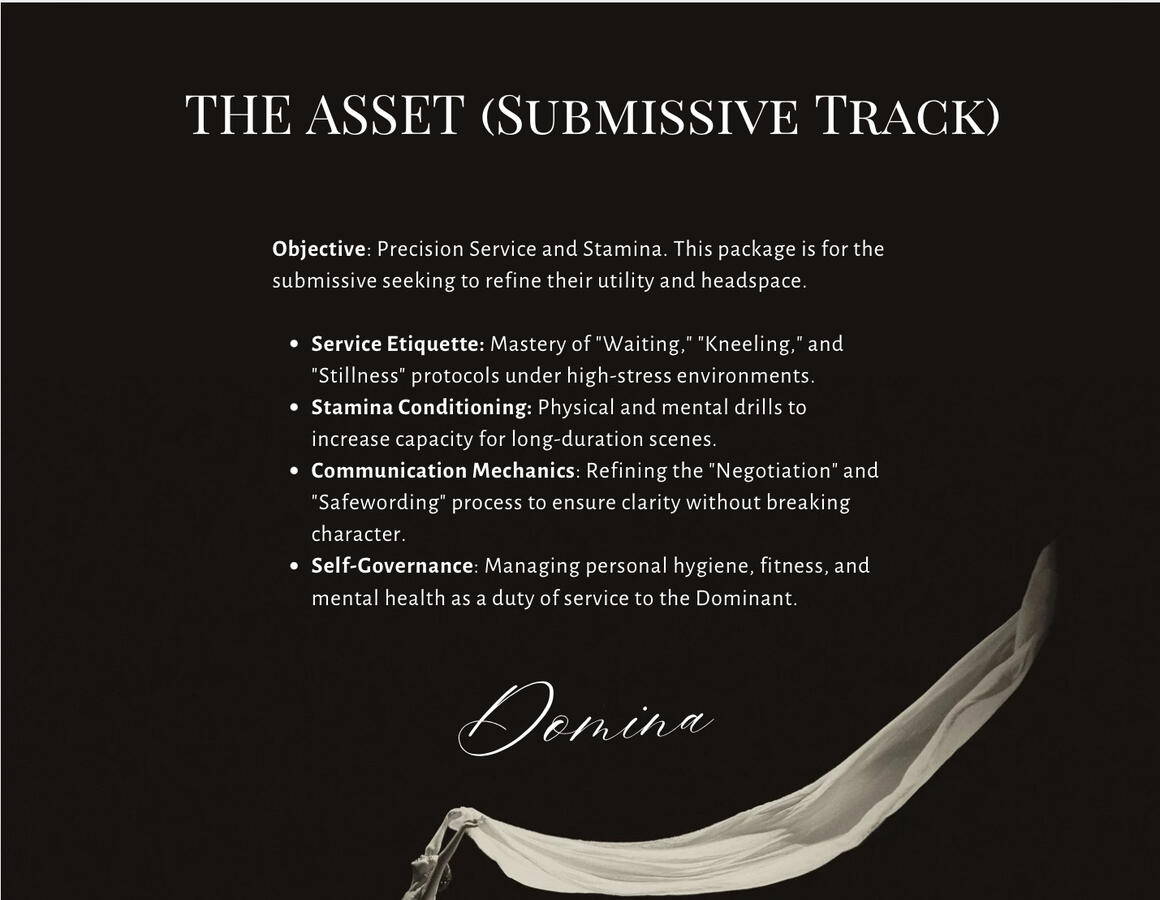 THE ASSET (SUBMISSIVE TRACK)